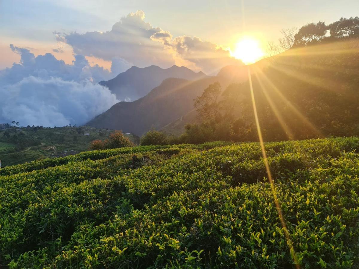 Hill Safari - Tea Estate Villa Охия Екстериор снимка