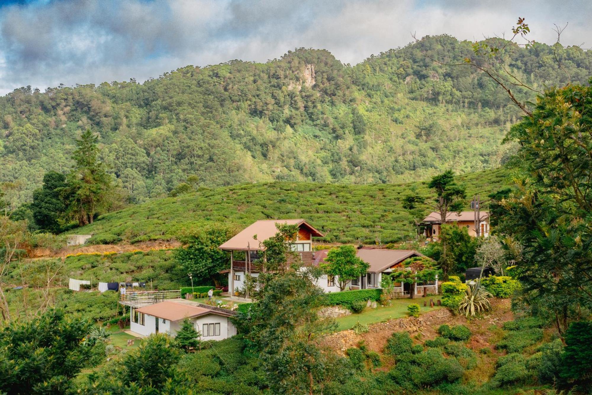Hill Safari - Tea Estate Villa Охия Екстериор снимка