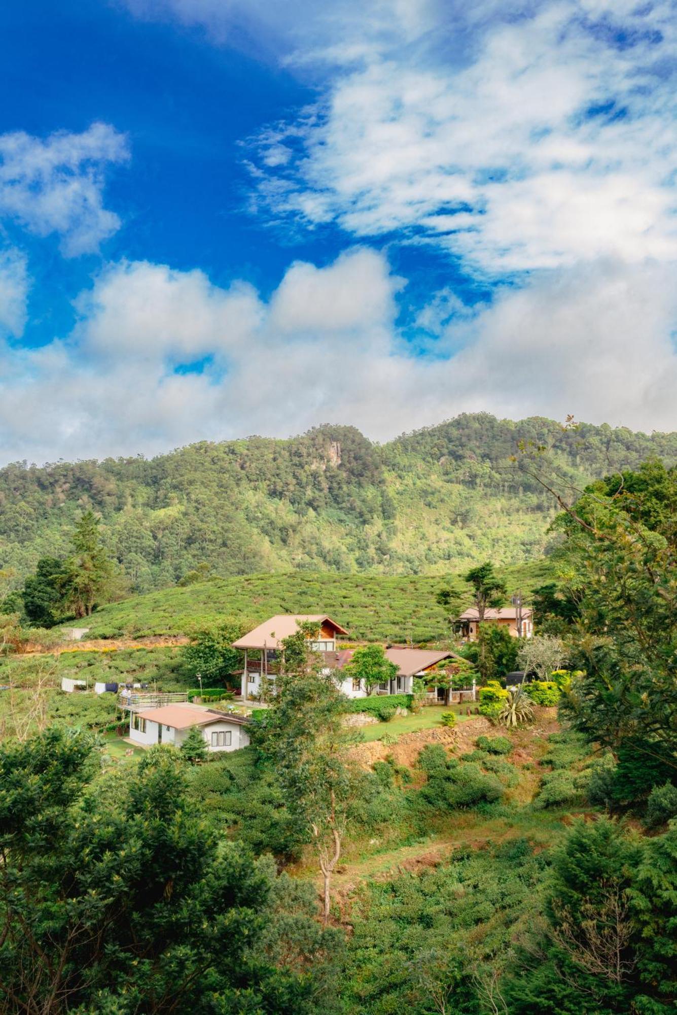 Hill Safari - Tea Estate Villa Охия Екстериор снимка