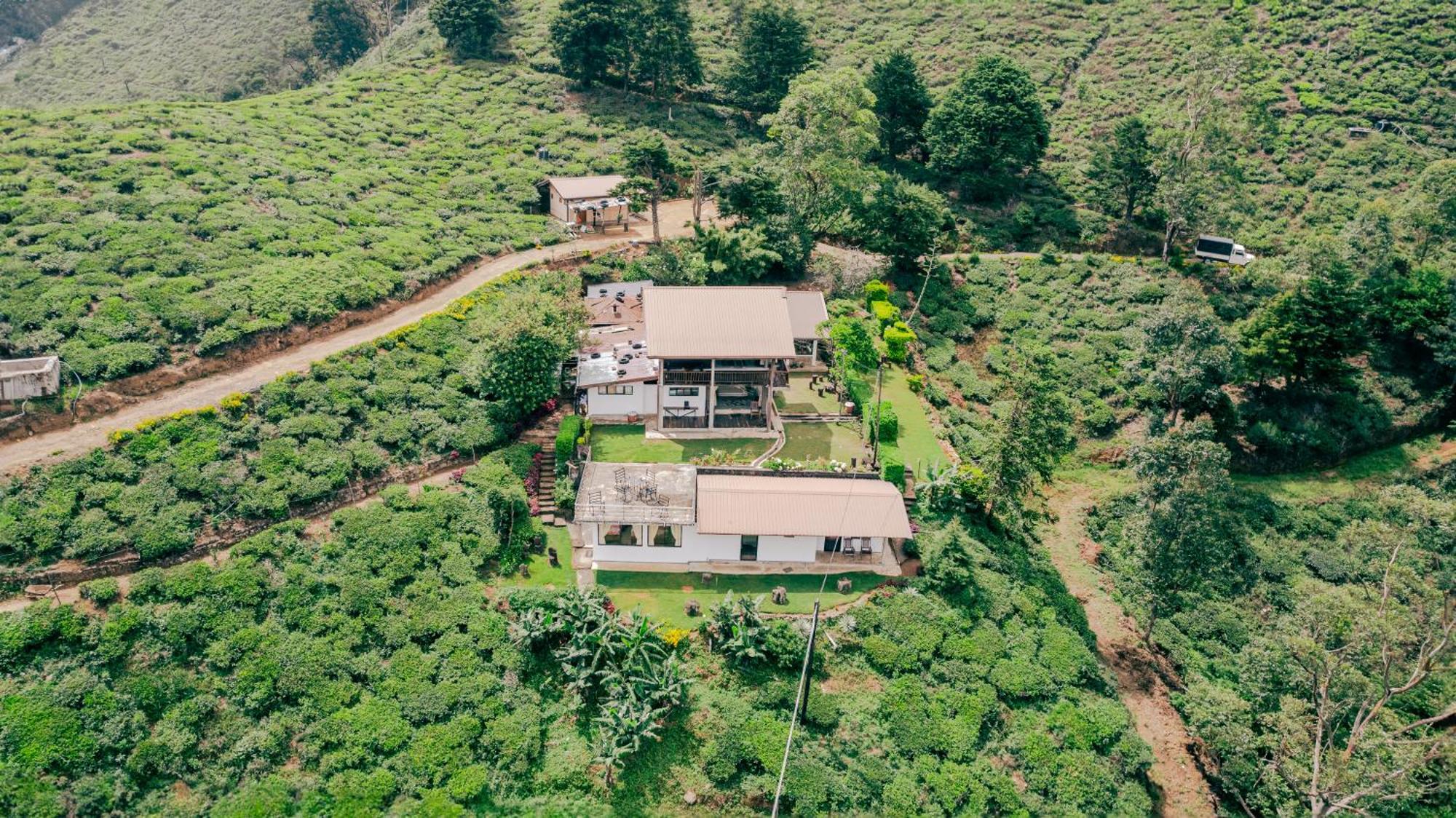 Hill Safari - Tea Estate Villa Охия Екстериор снимка