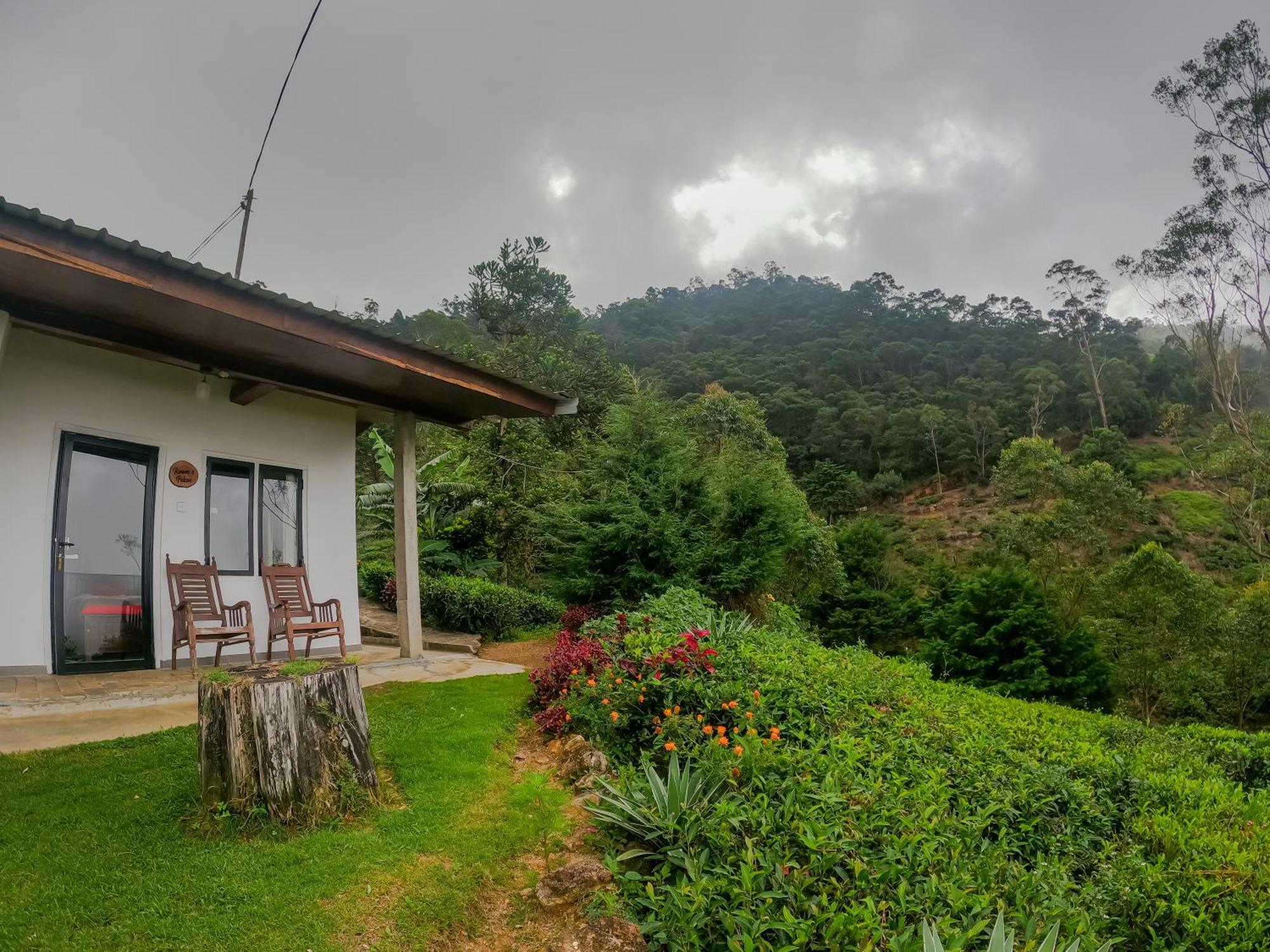 Hill Safari - Tea Estate Villa Охия Екстериор снимка