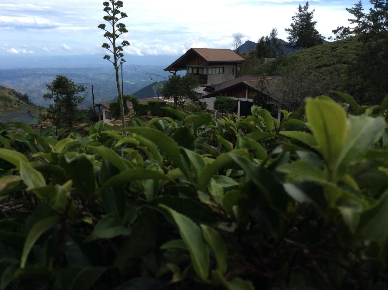Hill Safari - Tea Estate Villa Охия Екстериор снимка